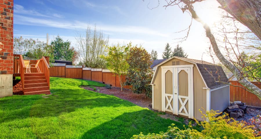 Fenced backyard with storage shed in Lubbock